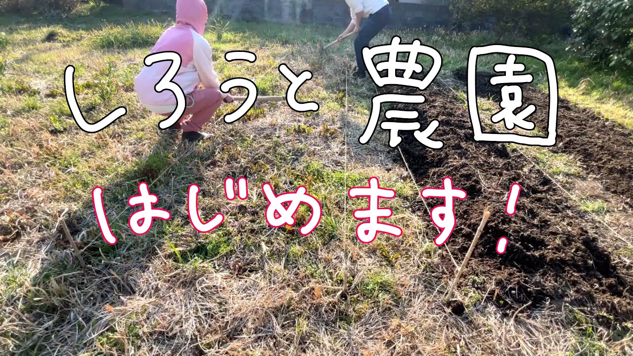【家庭菜園】素人夫婦の畑作り体験談！備中鍬で畝作りに挑戦