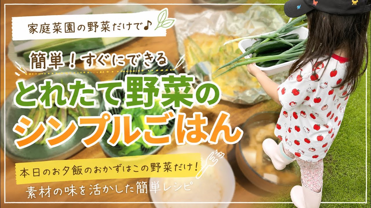 【家庭菜園】収穫野菜だけで晩ごはん完成！簡単レシピ体験談
